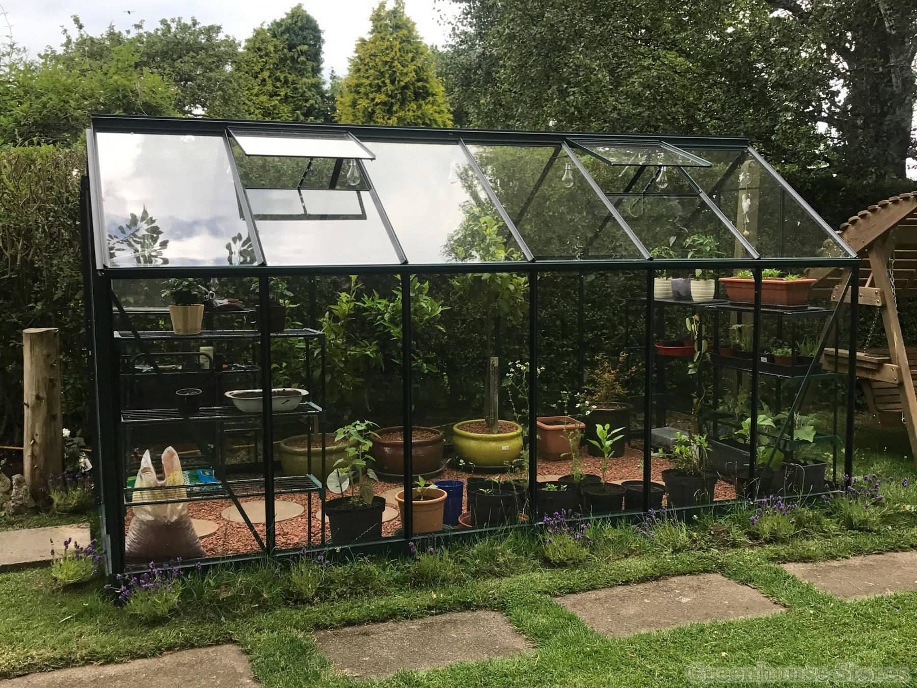 Kasvuhoone Vitavia Sirius beebikõrvitsad ja tomatid