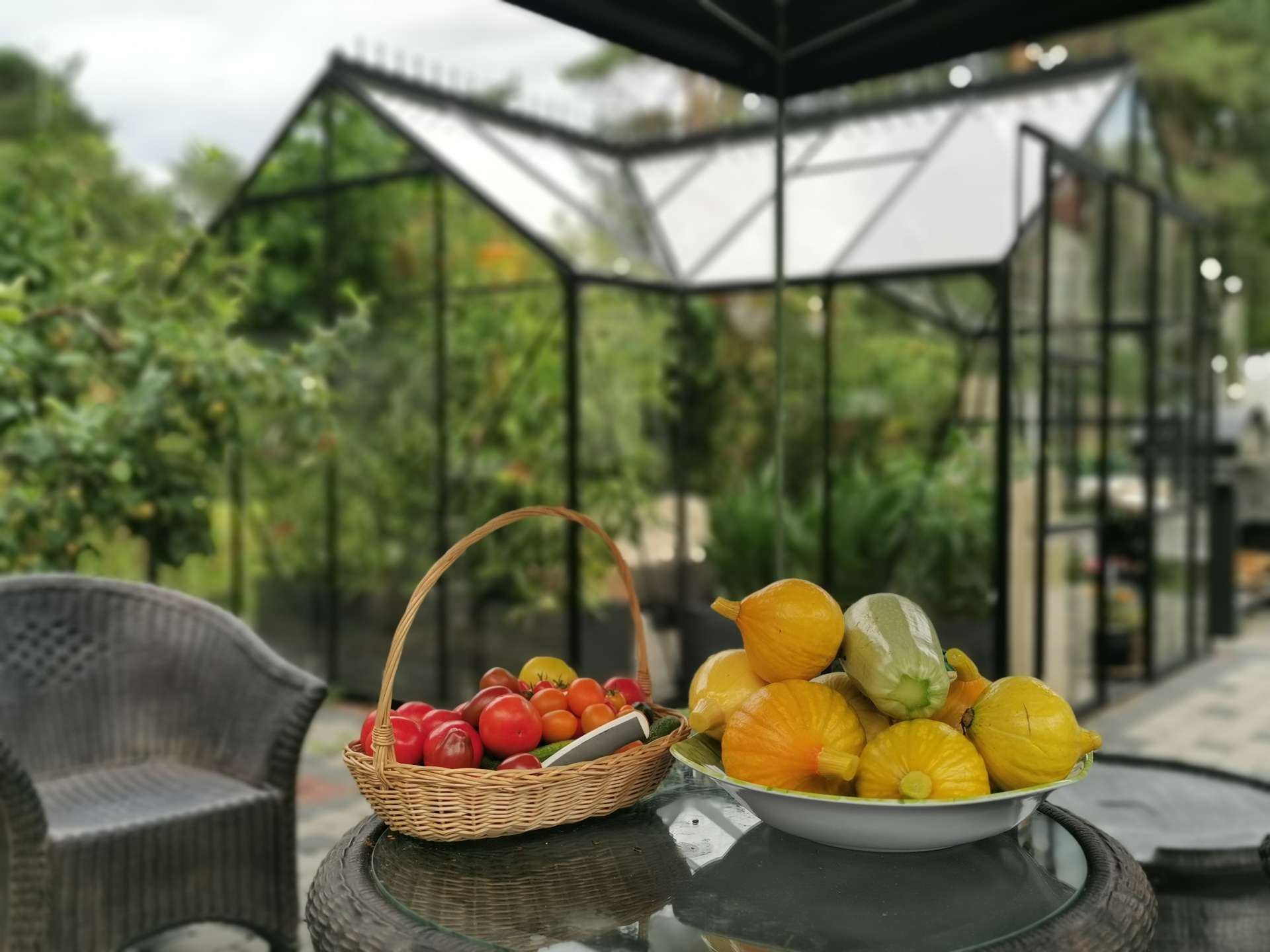 Kasvuhoone Vitavia Sirius beebikõrvitsad ja tomatid