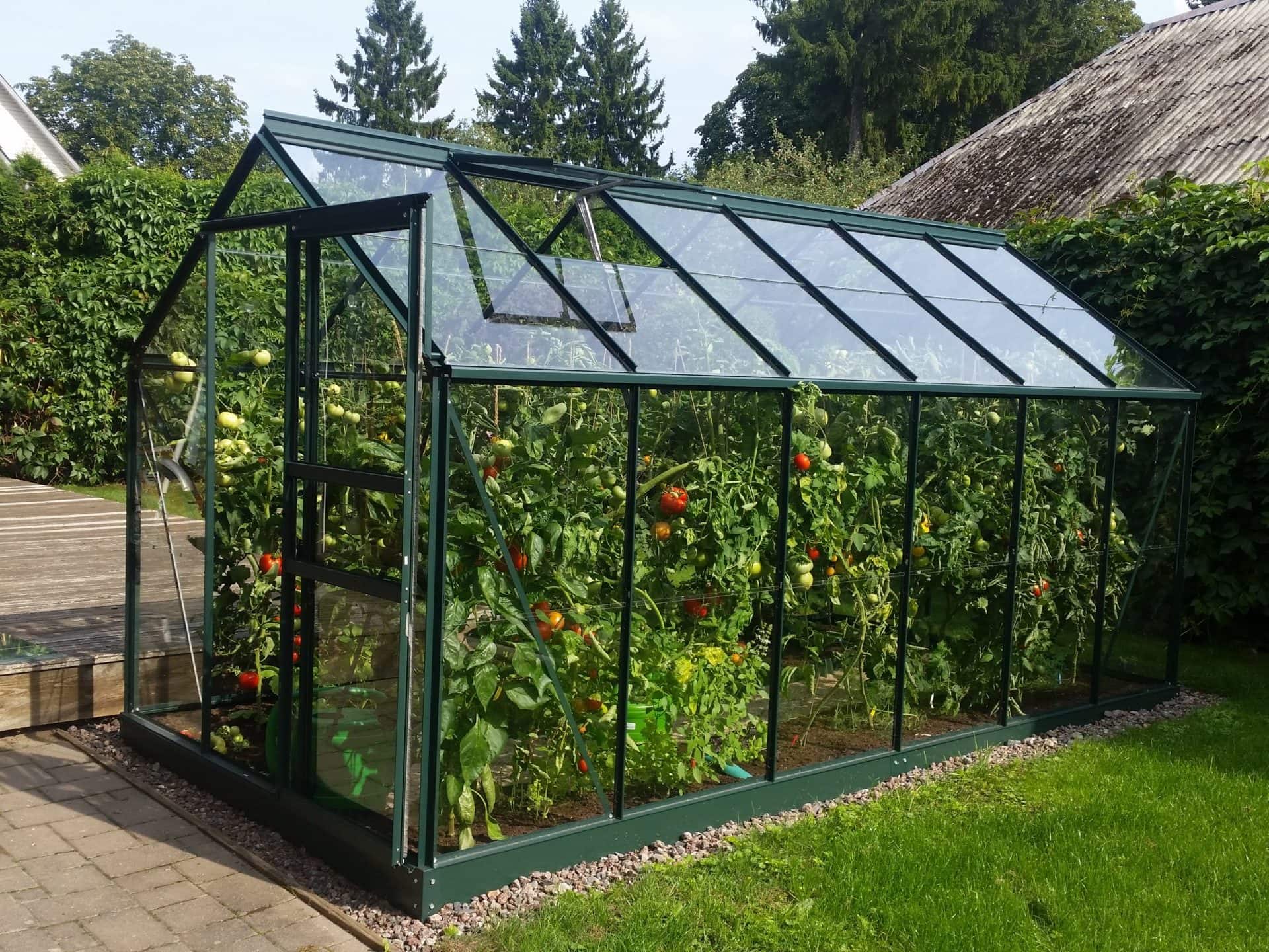 Kasvuhoone Vitavia Venus 7500 roheline klaas