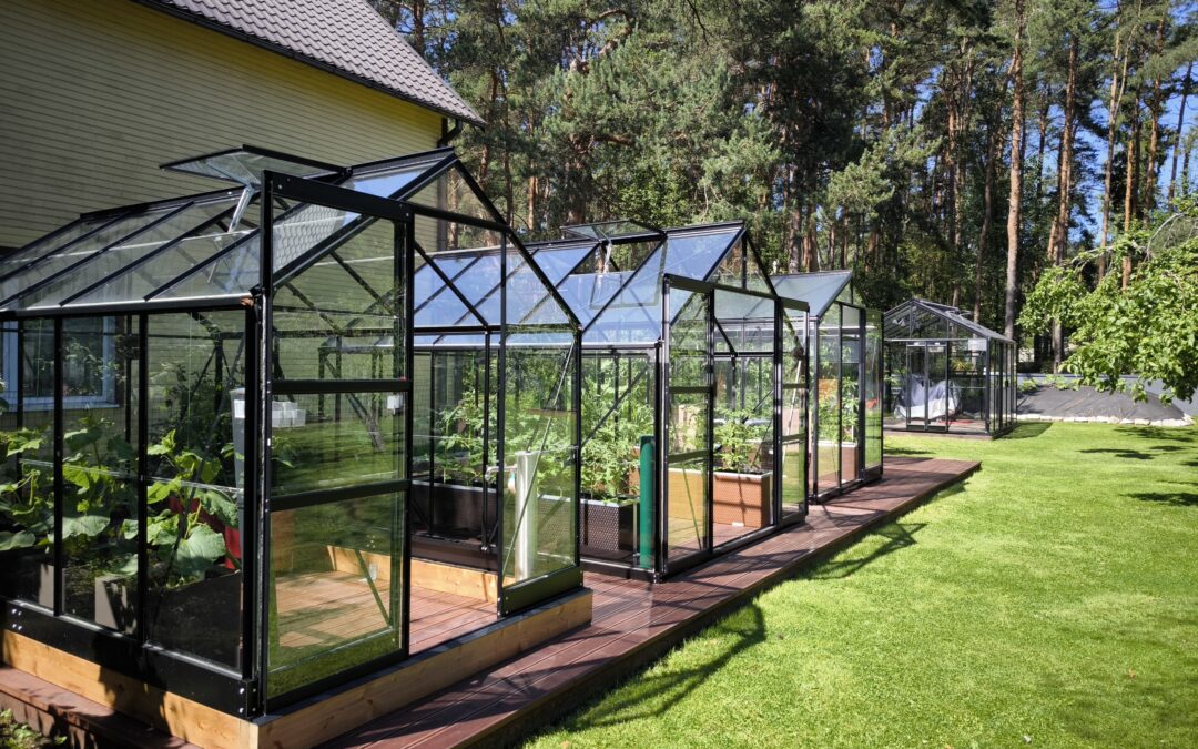 Vitavia kasvuhoonekeskuse näidisteplats